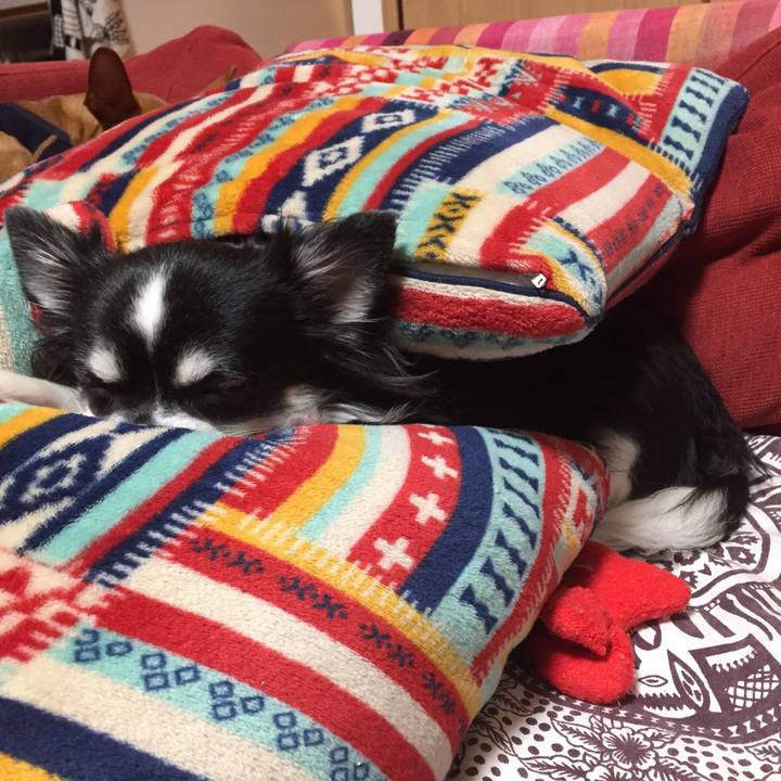 Ca01c978 d0f6 4aa8 bbca 3ef09b4f356b