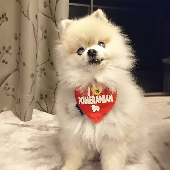 Ca01d2d7 6dd3 4e1d 954b 3a2ad23836b8