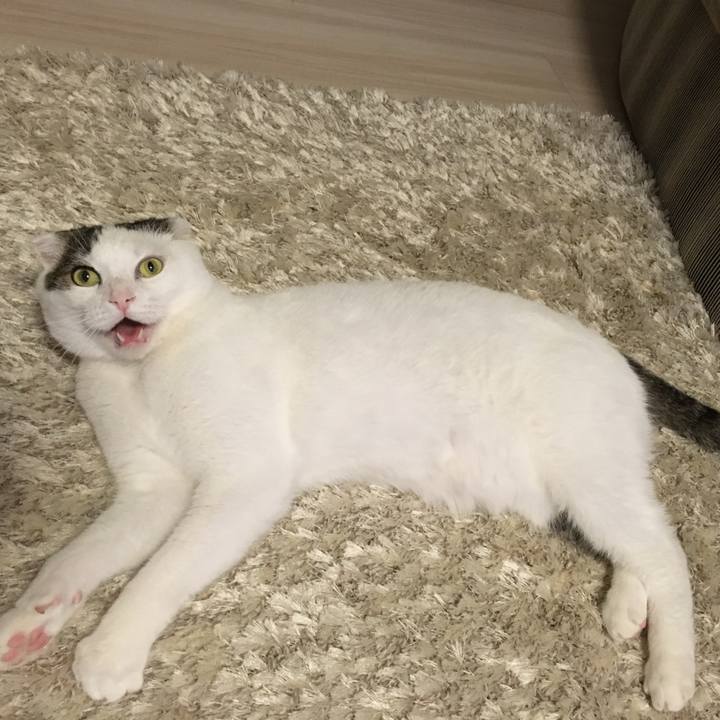 Ca01dfa8 67b4 4fd5 8996 1f6b1c62d798