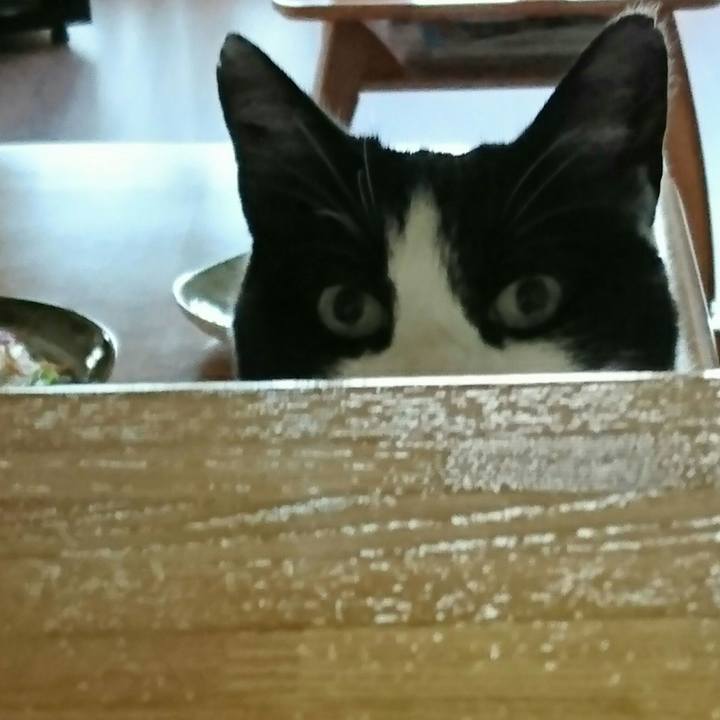 Ca01f0b9 30e8 448b a131 ab7812caee53