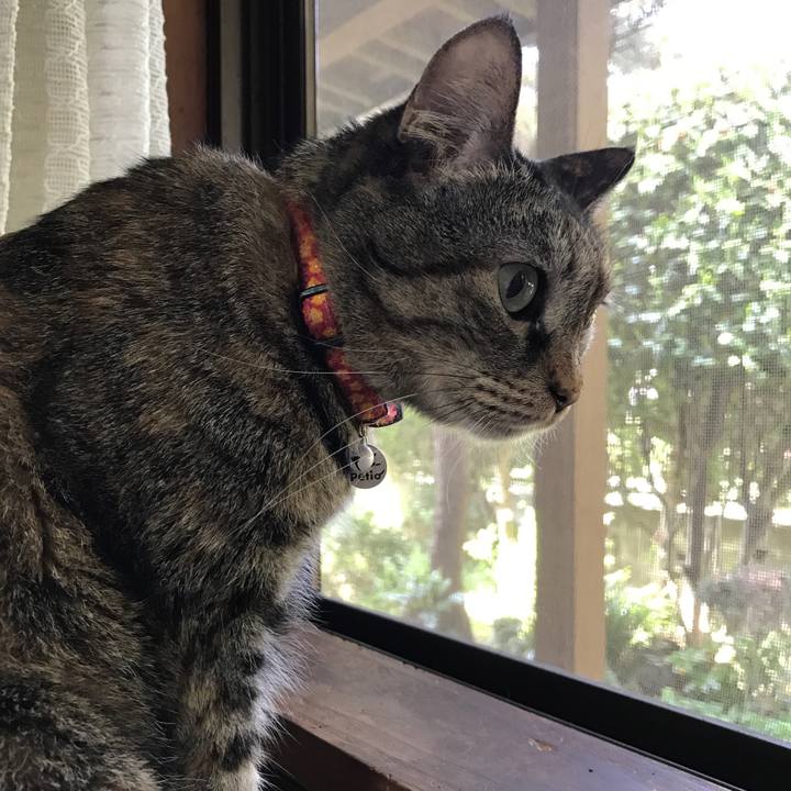 Ca020ef2 32bf 4cc7 b0fd 93eee4a7361e