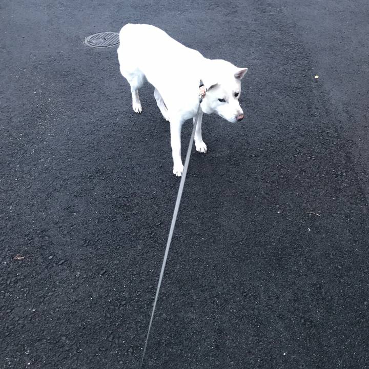 Ca02f4a0 9bc1 4aed a15e e70b9b9d78e5