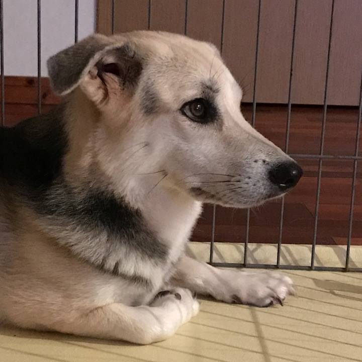 Ca0309b6 2af8 4c7d 9996 d45af308da02