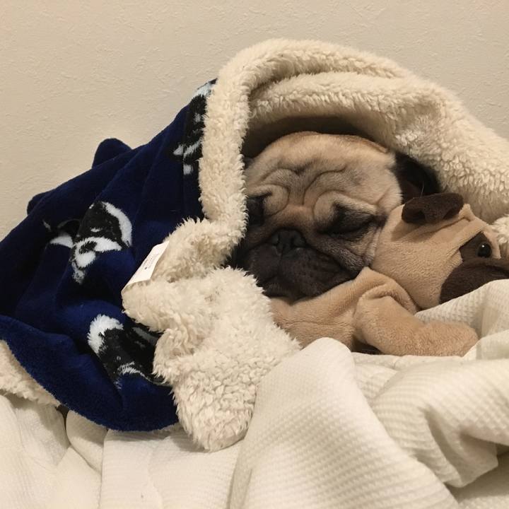 Ca03ab05 4b4c 4929 b2e4 5979d11bb53b