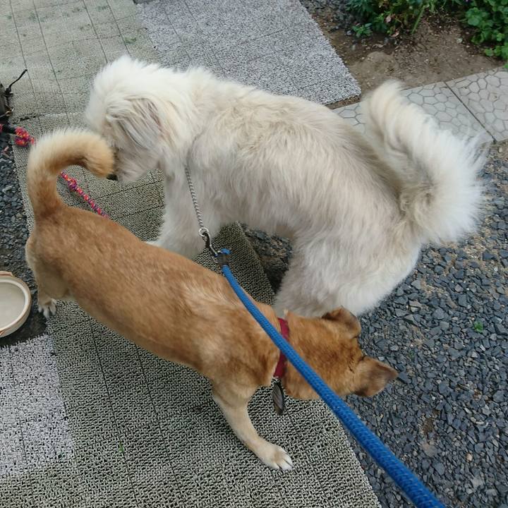 Ca041bc0 073f 41d6 a16a ff504810edc6