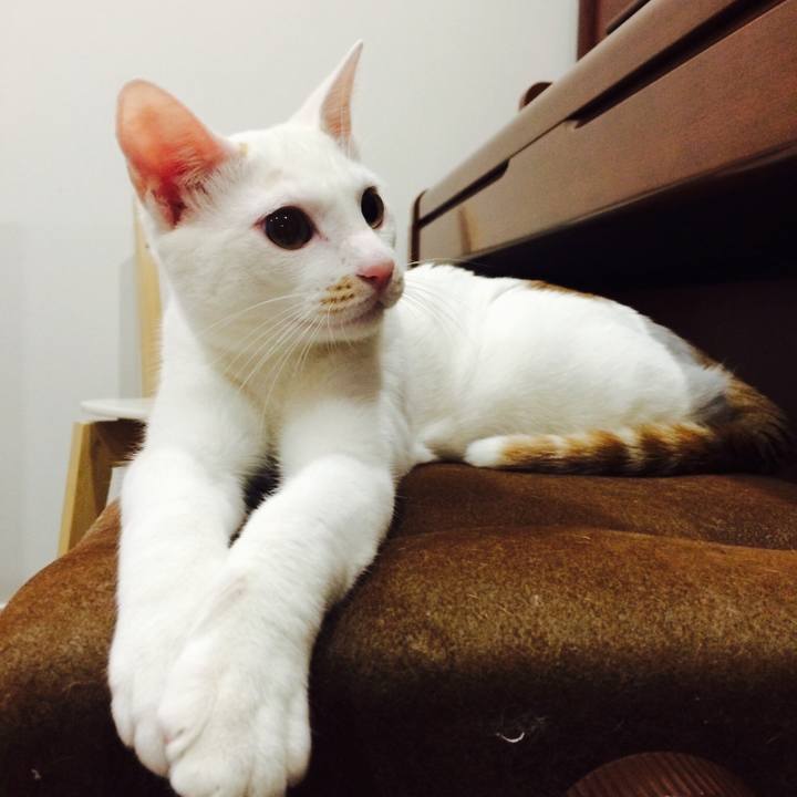 Ca049546 162e 4bef 8fa6 ab2fe1a820d8