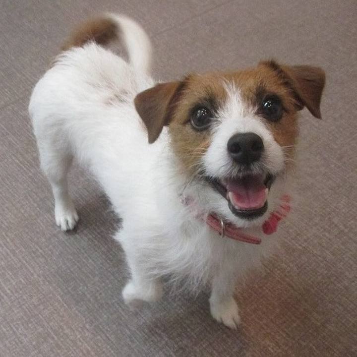 Ca04e159 5ef2 4b0d 8337 a9e4d0043872