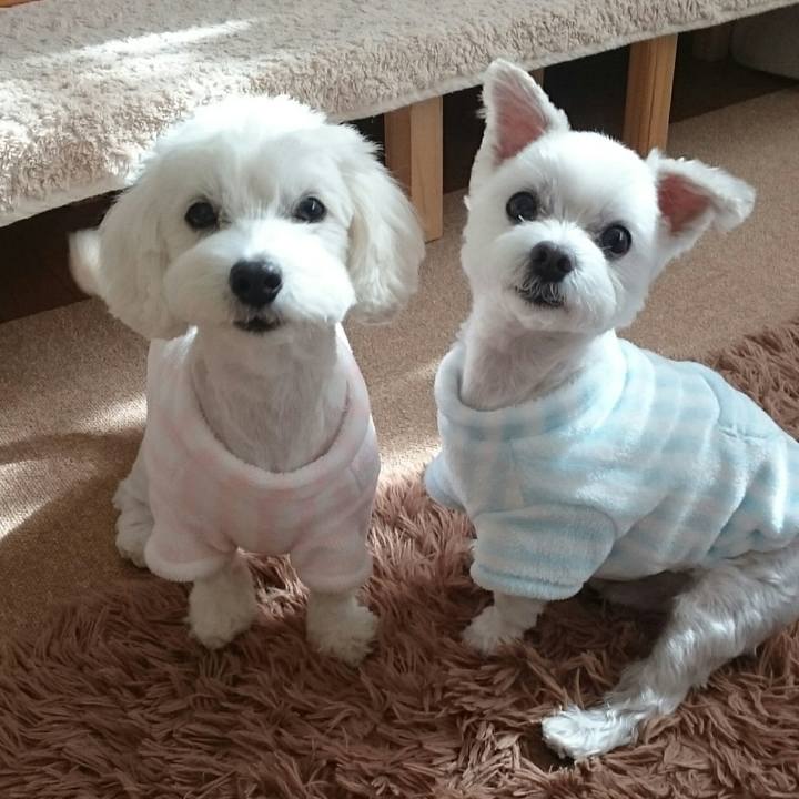 Ca051ab7 8261 4af0 a147 ed62d4ef0977