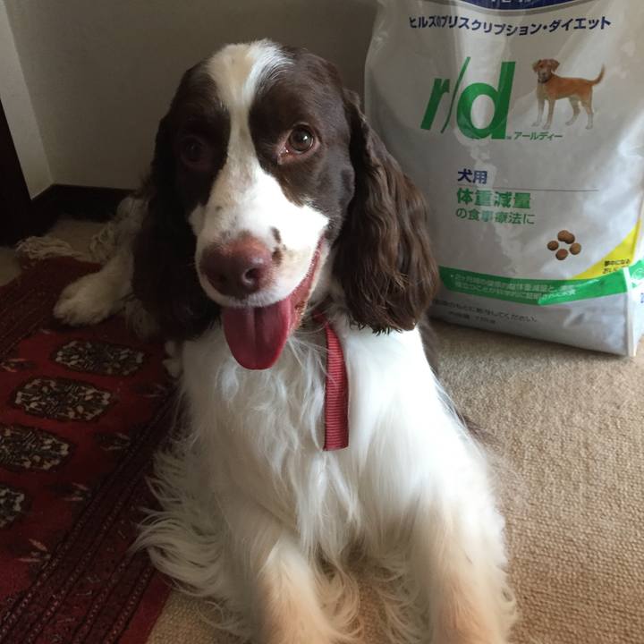 Ca06b52a ae64 4e7a af33 93d8f34ff5b3