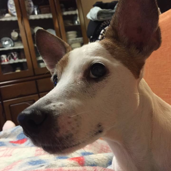 Ca06cbd7 8b80 47c2 ba40 45cd013f3449