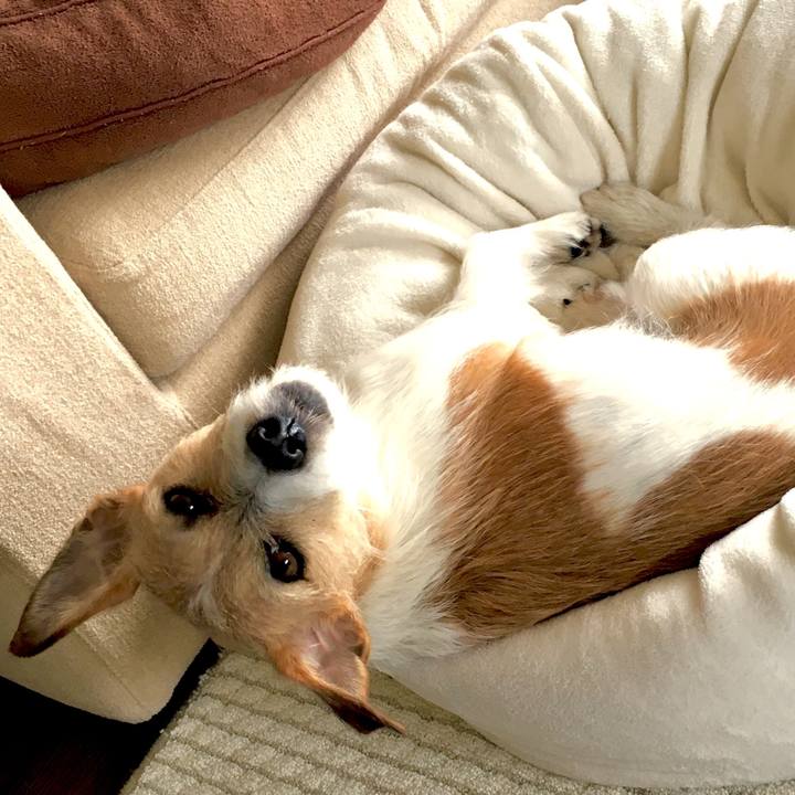 Ca076b00 a4b7 45e8 8c53 e2ade646b9ed