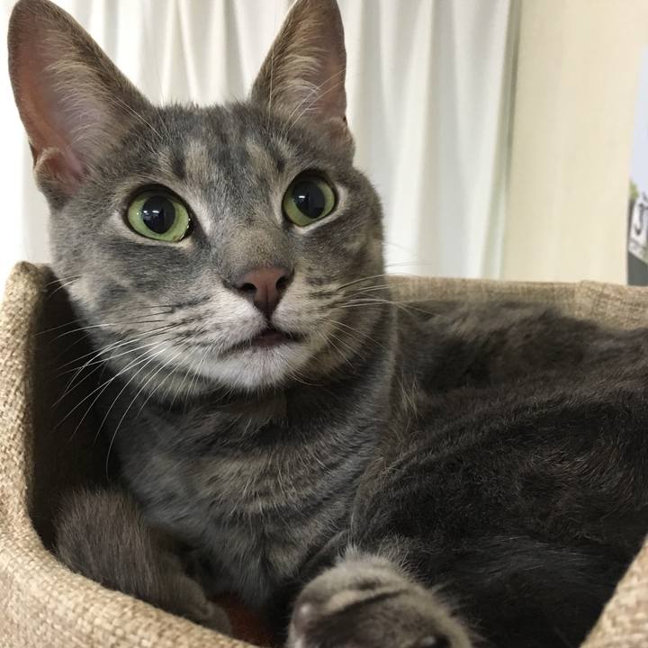 Ca077400 6a68 403d 83ca 50eb67e6b425