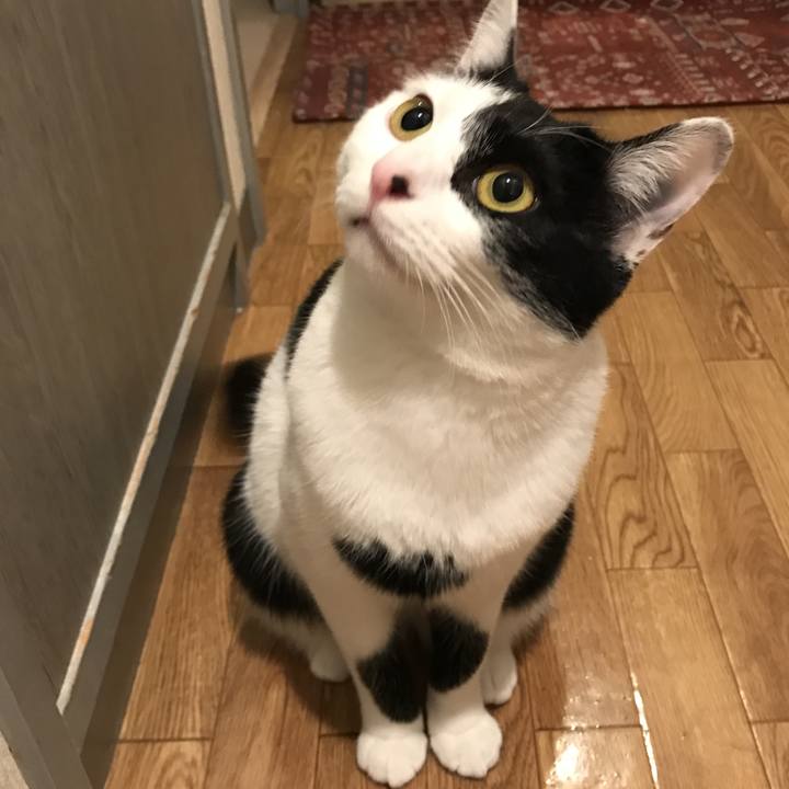 Ca07a24d 5f91 4b33 9b1f b03125b2b7f2