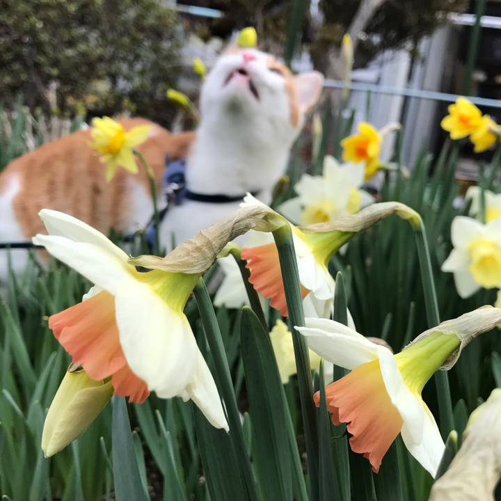 Ca082377 bc69 4b0f 945d 050e40a5f39f