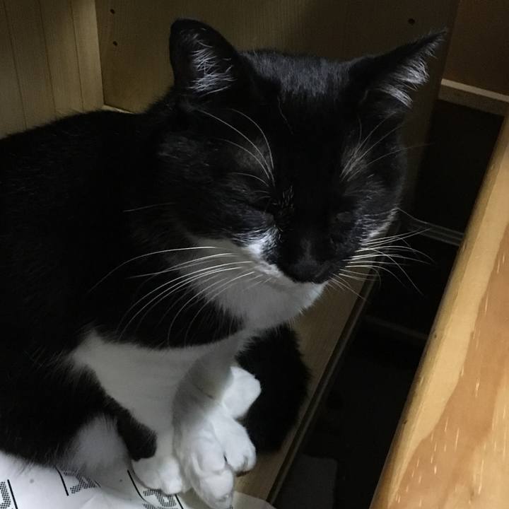 Ca08e77f 1811 47c8 9bf5 743f15d7a92d