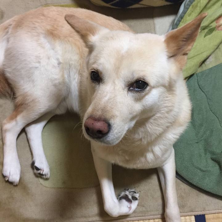 Ca098915 fc99 492b b657 5236aeed3bd1