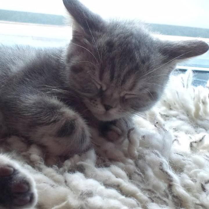 Ca09a620 fa54 4378 b532 0d18aa0e115f