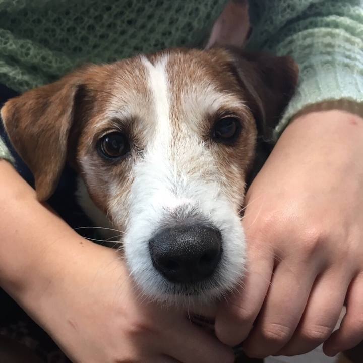 Ca09ec95 088e 4505 b7d0 e8a92b3705b2