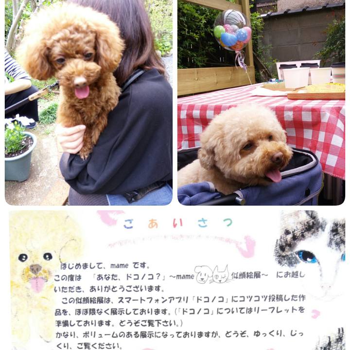 Ca09fcca 8178 459d 8d42 729d670a3871