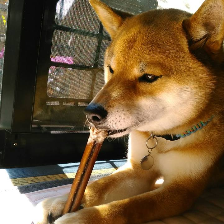 Ca0c060d 9c98 4987 b3a2 26e6a09f7ed1