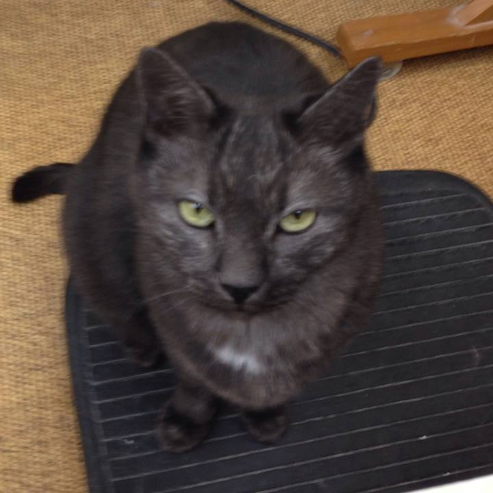 Ca0c1eeb 52fc 4849 9846 af0e2a2de0a7