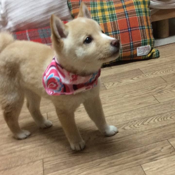 Ca0d330b c8b0 4512 9bd7 6520337d3623