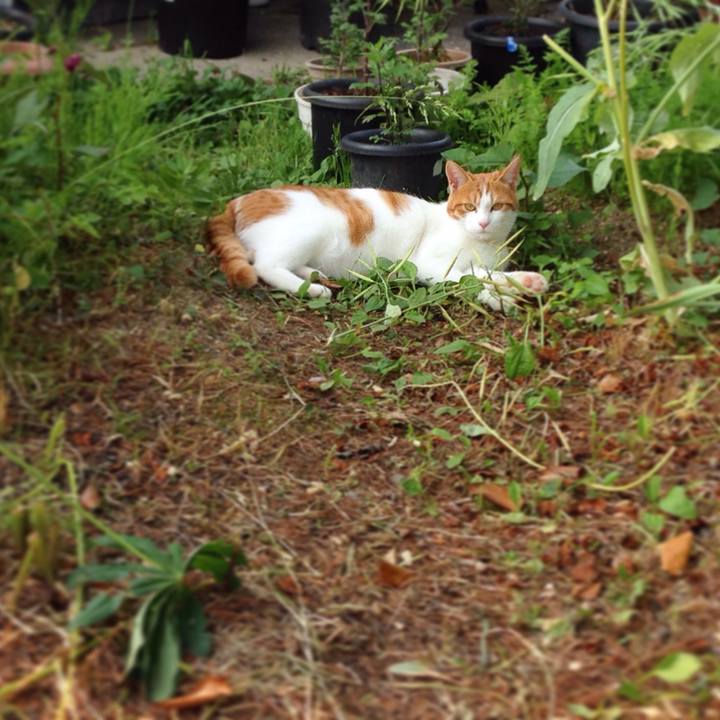 Ca0d4615 80ed 4287 b45e d91e6b35d460