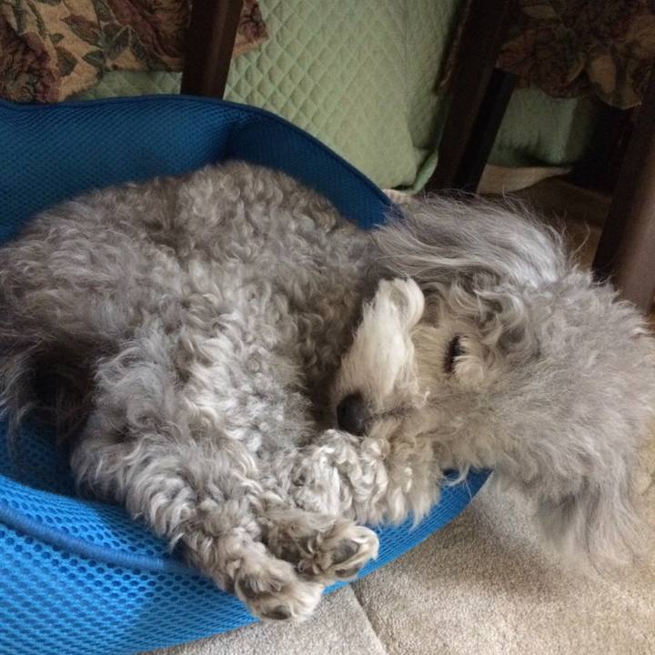 Ca0da059 4c16 49e2 a6af 75adda17b0b5