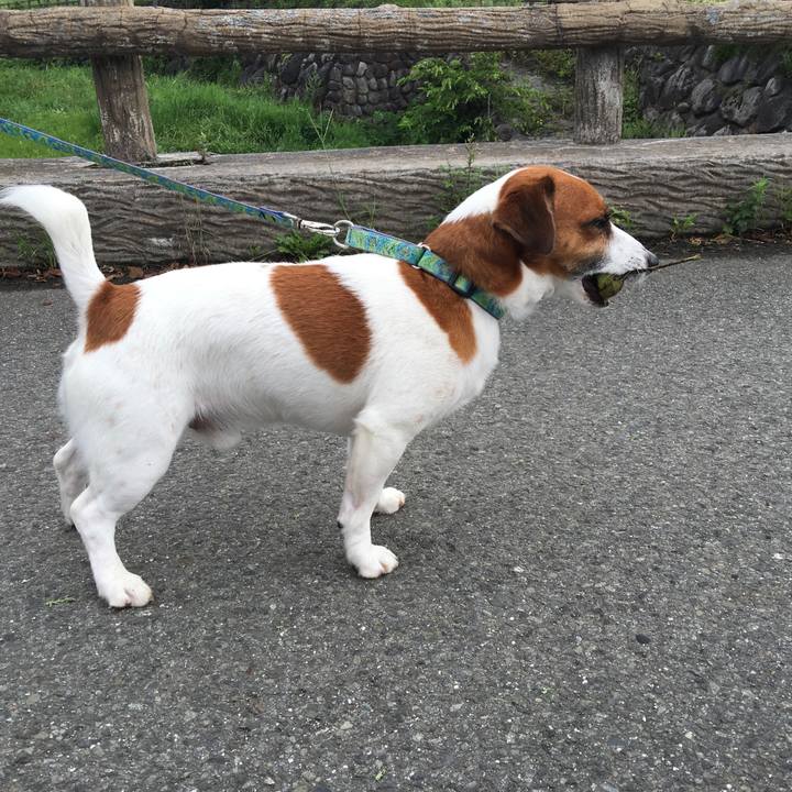 Ca0ea089 fcf0 486d b2e7 fbab36dd8480