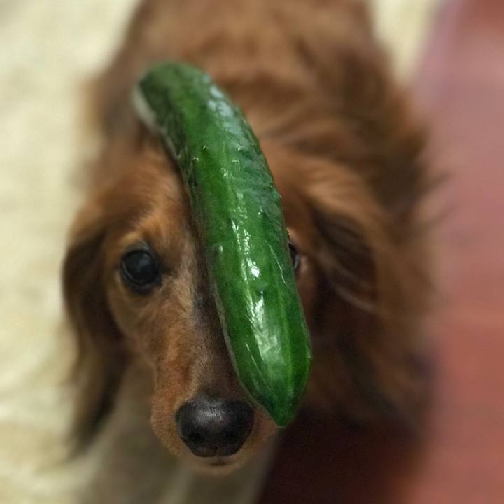 Ca0edc1f a897 46f7 87c2 e7d2fe3b28b5