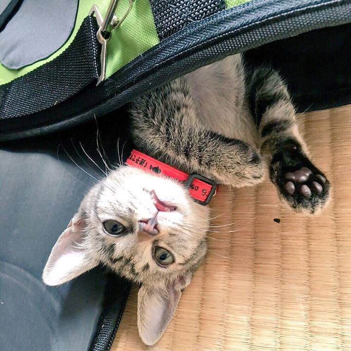 Ca0ee0ba c81e 4c1e 8982 82b8d84e0792