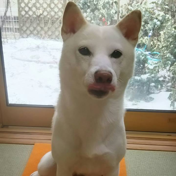 Ca0f230a 92c2 4b1d 9604 904f42a690d3