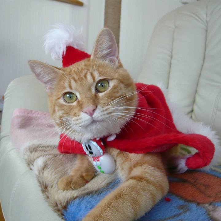 Ca0f85f5 013f 44a6 a63c b4339a6f32e0