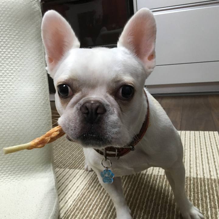 Ca107263 0f6c 4843 977b 230d6991ab11