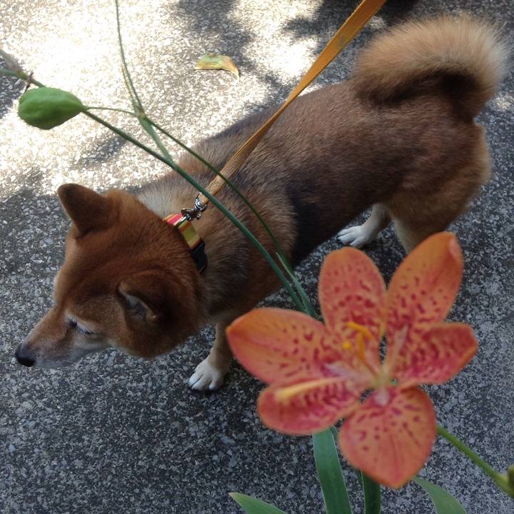 Ca1312e7 c3f8 4dc2 8b2b db21059eb2d5