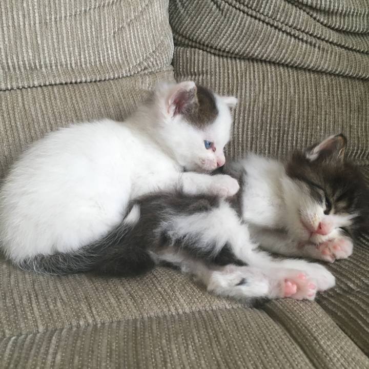 Ca138053 845d 4d77 8de6 d49a7540a351