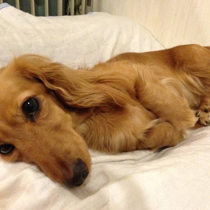 Ca13b389 881c 4c51 88ca 5a2d128ba23e