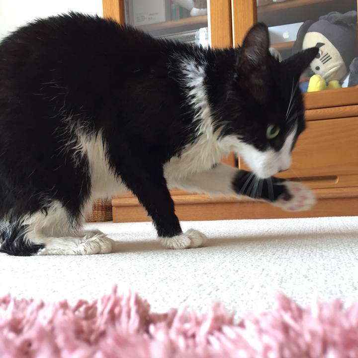 Ca13b817 96cb 465c 801d 32b9d7e5df56