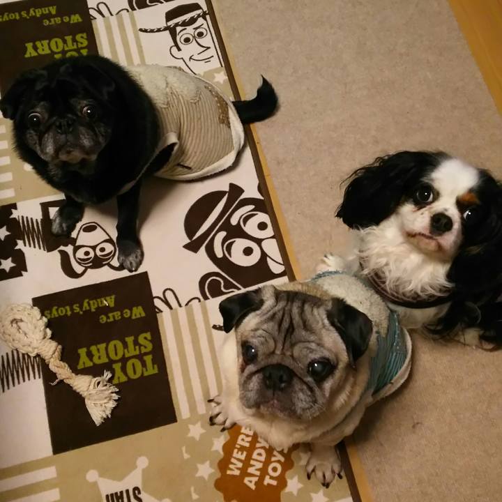 Ca141d8f 80a1 4de2 806e 78551a157021