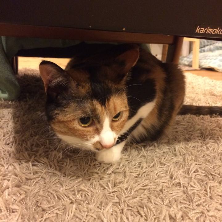 Ca143b14 6a09 488f a1d8 5f1f533733a0