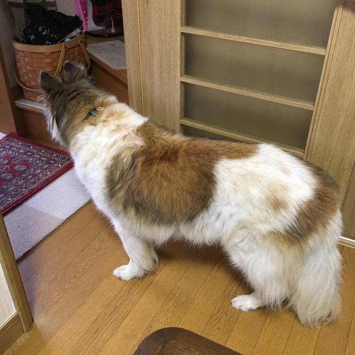 Ca148953 b304 412b 8324 c924924e30b6