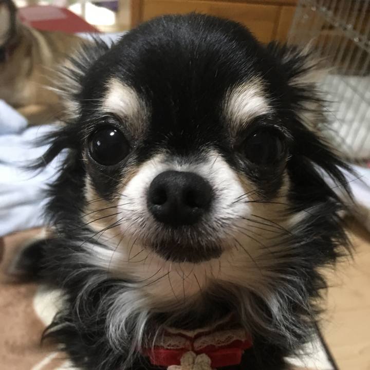 Ca155e16 f9a3 4dc6 9b5b a0c8f4221bce