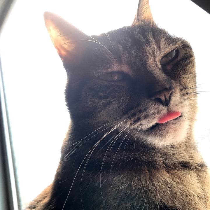 Ca1570ed cae2 40ae ab40 24523d4e995b