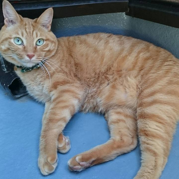 Ca162ad7 5d1f 4a1b bcf8 040b6a71a7da