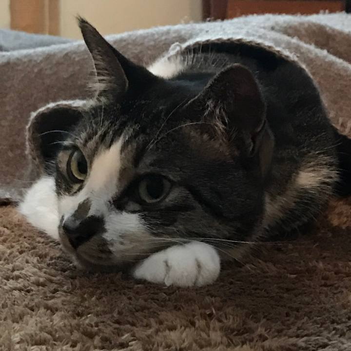 Ca163214 3ffe 404c a8fa 9b9a9e52b04c