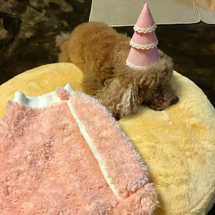 Ca16ace5 49e6 41f7 9d91 5e16ca9f3faf