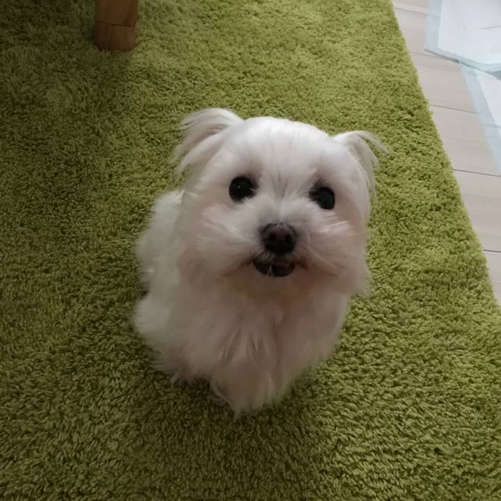 Ca172c36 5d8c 4ecd 9d67 919fc539f3c7