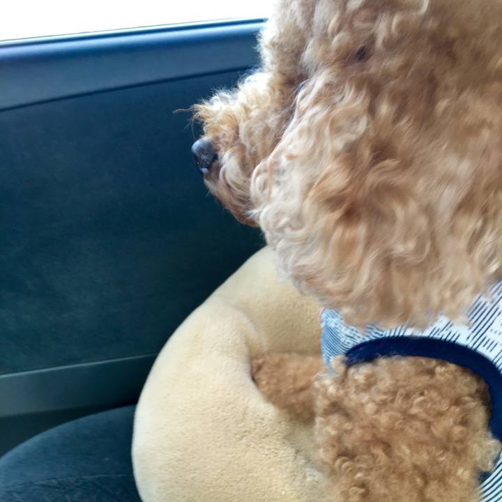 Ca176ef5 bc99 4965 8b5e 02e523ec5e2f