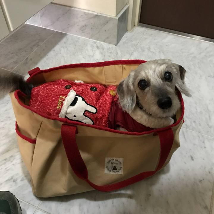 Ca179b04 737e 4397 9bc8 1703f1b9cf80