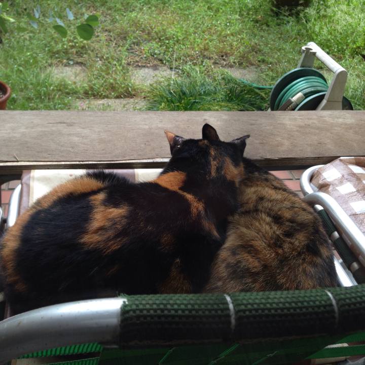 Ca184a34 ba65 49f1 9cc8 c39803565daf